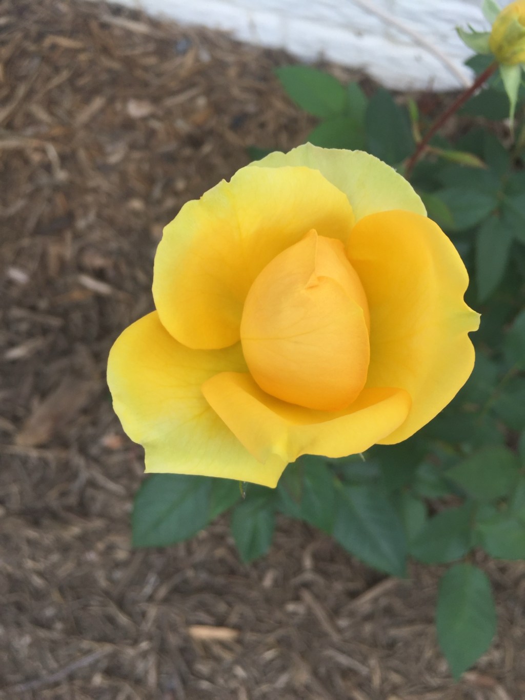 Curated Closet – Phase&nbsp;I